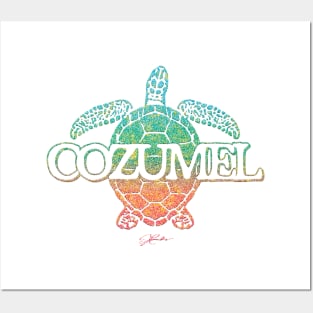 Cozumel Sea Turtle Posters and Art